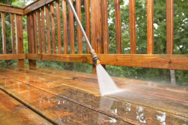 Best Roof Power Washing Services  in Hamburg, IA